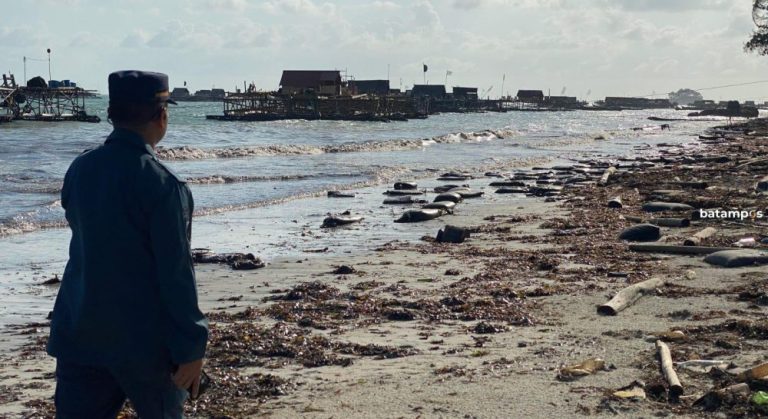 Limbah Minyak Hitam di Pantai Trikora Diduga dari Kapal Melintas Perairan Berakit