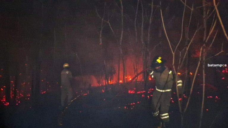 BPBD Catat 91 Kasus Kebakaran Terjadi di Bintan Sepanjang Januari 2026