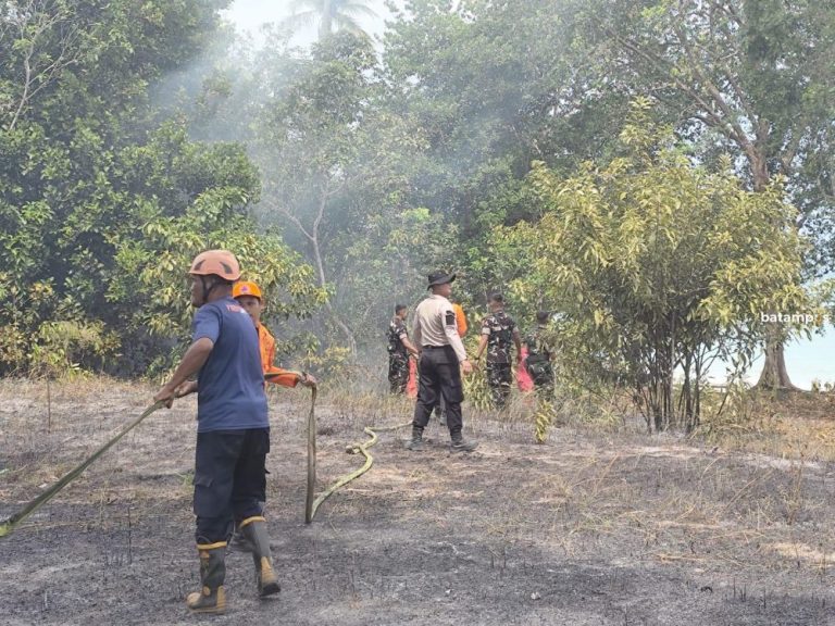 Kebakaran Hutan di Lingga Hanguskan 1 Hektare Kawasan Pantai Pasir Panjang