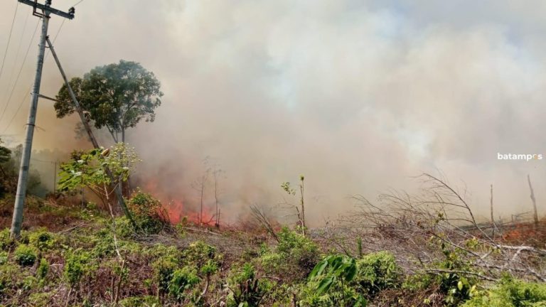 Terjadi Lebih dari 10 Kali, Kebakaran Lahan di Lingga Kian Mengkhawatirkan