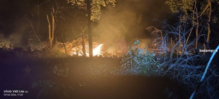 Karhutla di Singkep Barat Hanguskan 13 Ribu Batang Karet Milik Warga