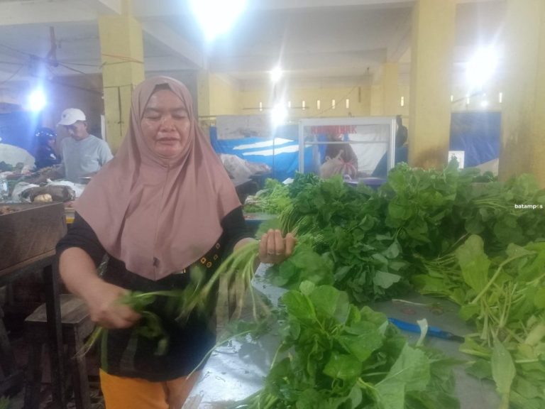 Pasar Dabo Singkep Lesu Meski Harga Bahan Pokok Menurun