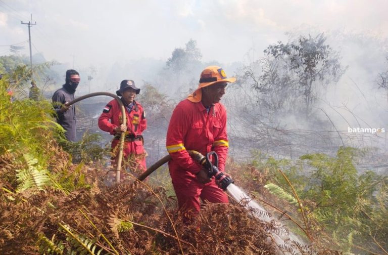 Kebakaran Lahan di Marok Kecil Hanguskan 6 Hektare Kebun Karet