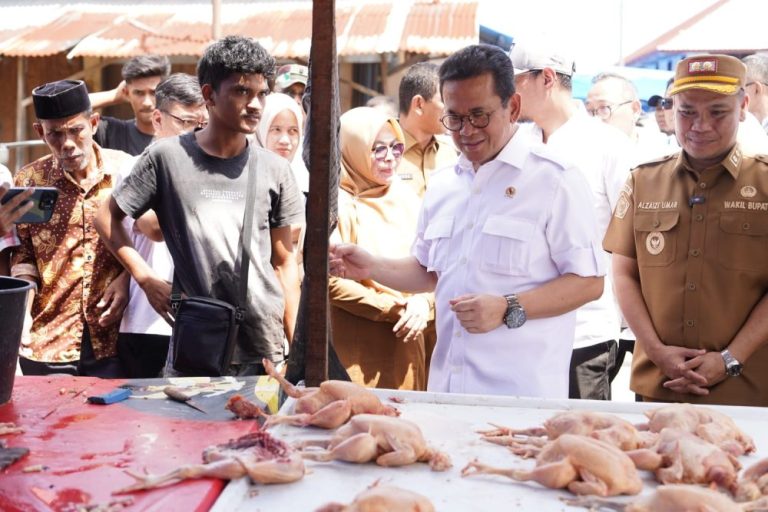 Tinjau Pasar dan Ritel di Pidie Pascapemulihan, Mendag Busan: Perdagangan Telah Kembali Berjalan