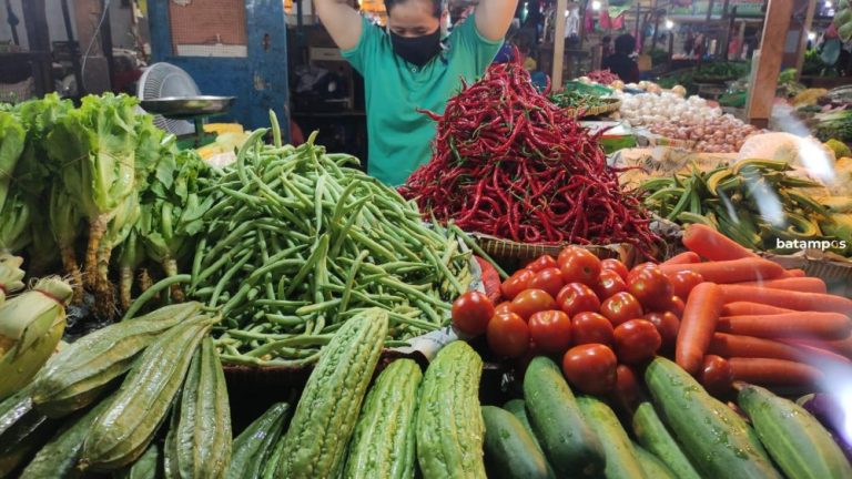 Harga Sayur di Tanjungpinang Naik Jelang Idulfitri, Cabai Tembus Rp115 Ribu