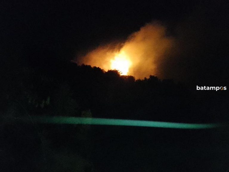 Kebakaran Hutan Lindung Piayu Padam, Polisi Selidiki Penyebab Api