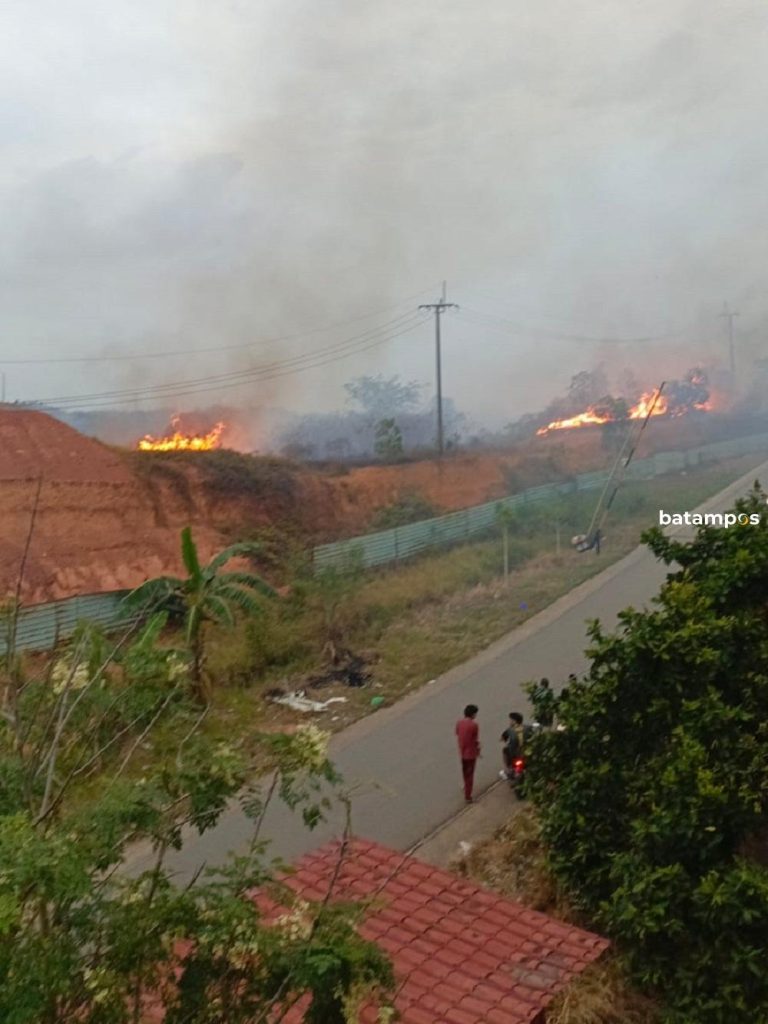 Kebakaran Lahan Beruntun di Batam, Warga Curigai Ada Pembukaan Lahan