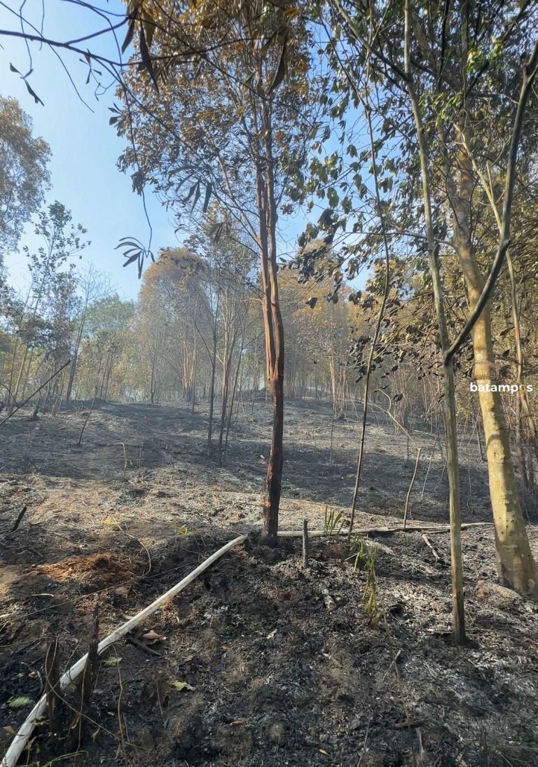Asap Kebakaran Hutan Bukit Mata Kucing Masuk Permukiman, Warga Diminta Pakai Masker
