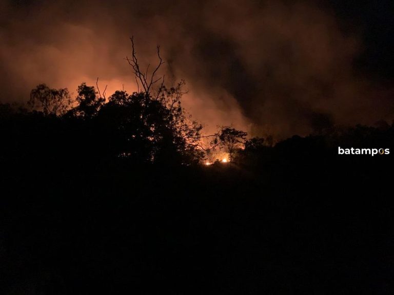 Lahan Kebun di Lingga Terbakar, Warga Berjibaku Padamkan Api