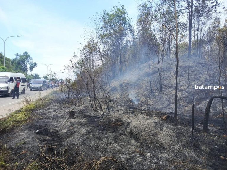 Hutan Dam Mukakuning Terbakar, Asap Tebal Ganggu Arus Lalu Lintas