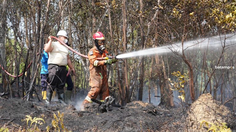 Hutan Terbakar, Waduk Nongsa Terancam