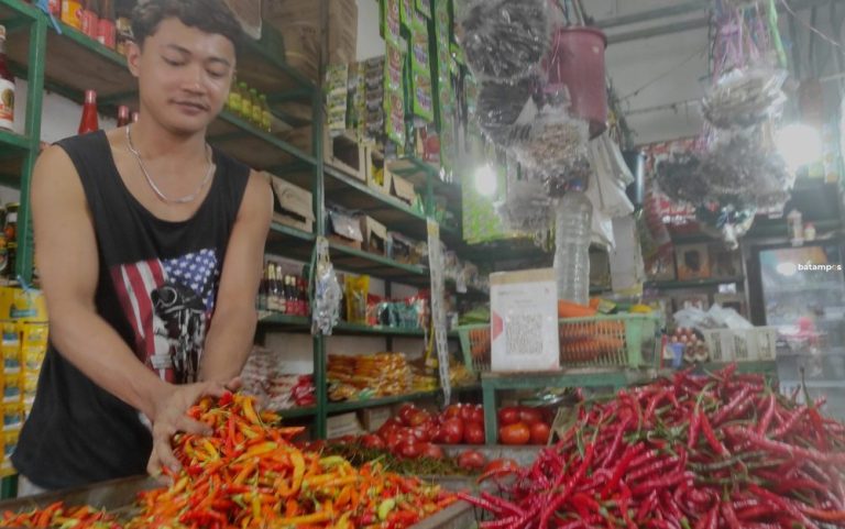 Harga Cabai Rawit di Batam Masih Tinggi, Tembus Rp100 Ribu per Kg