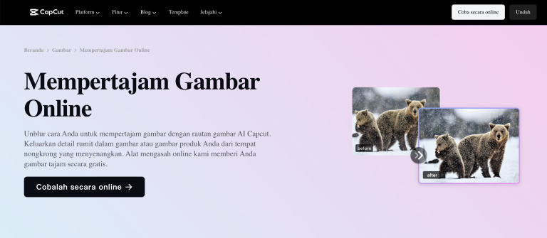 Cara Pertajam Foto Online dan Gabung Foto Praktis dengan CapCut