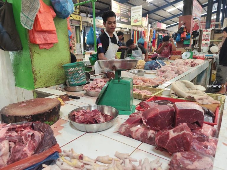 Harga Daging Beku di Tanjungpinang Tembus Rp135 per Kg, Pedagang: Bakal Naik Lagi