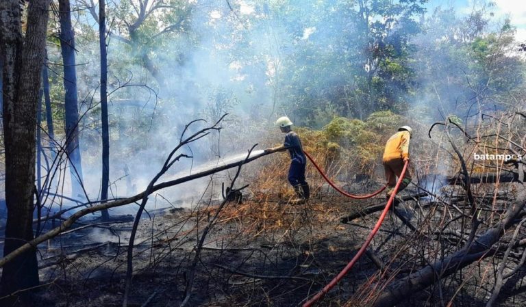 Kebakaran Lahan di Tanjunguban Terjadi Dua Kali, Damkar Curiga Ada Kesengajaan