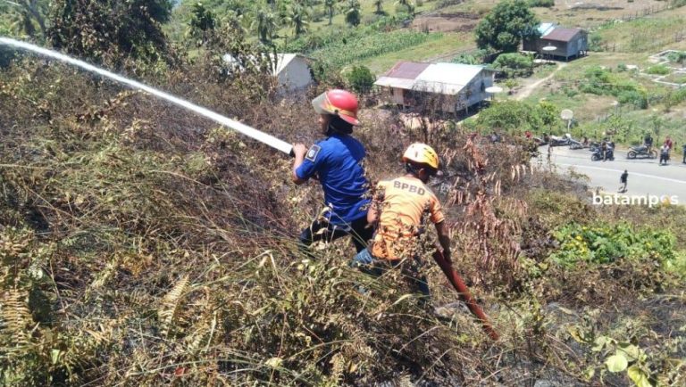 Bakar Sampah Picu Kebakaran Lahan 1.000 Meter di Anambas