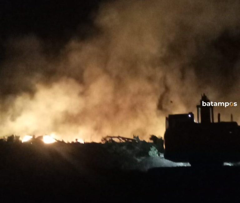 Ratusan Hektare Kebun Sawit Terbakar di Lingga Utara, Asap Tebal Ganggu Warga