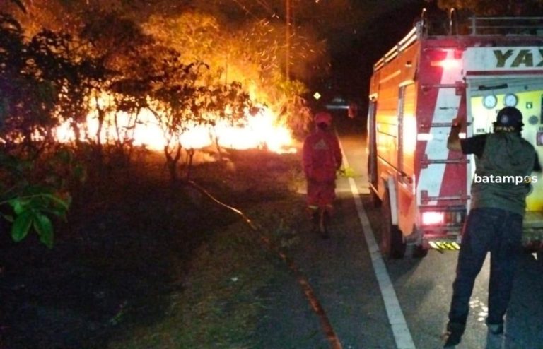 Karimun Darurat Karhutla, 190 Kebakaran Terjadi dalam 3 Bulan Hanguskan 85 Hektare Lahan