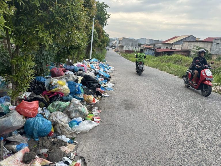 Sampah Sepekan Lebih Tak Diangkut, TPS Liar Menjamur di Tembesi Sagulung