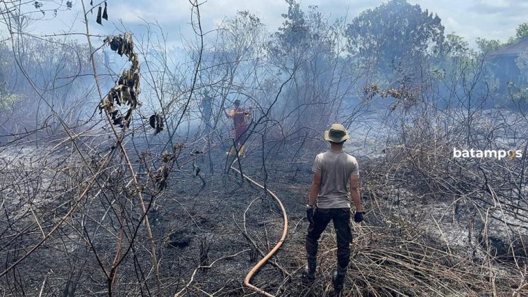 Cuaca Panas Picu Karhutla di Lingga, 2 Hektare Lahan Terbakar