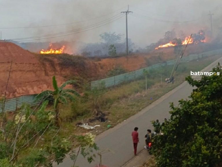 Marak Kebakaran Lahan di Seibeduk dan Batuaji, Kapolsek: Bisa Dipidana Penjara 15 Tahun