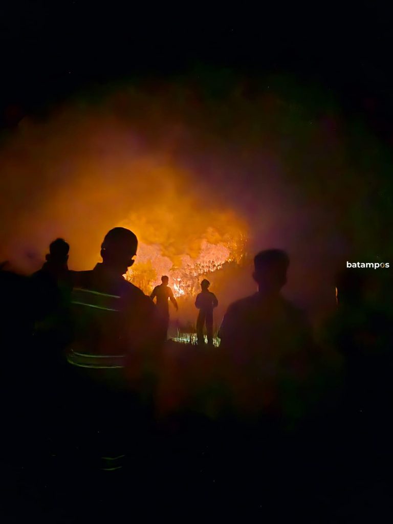 15 Hektare Hutan Terbakar di Galang, Polda Kepri Bergerak Cepat Memadamkan Api