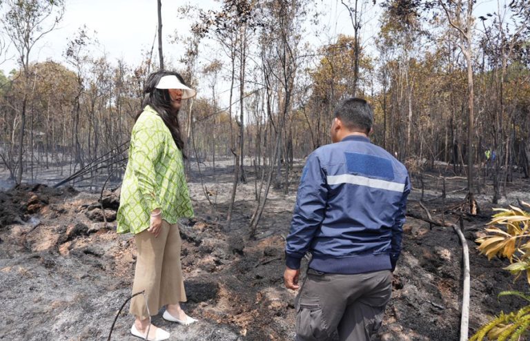 Tinjau Kebakaran Hutan, Ariastuty Imbau Masyarakat Waspadai Setiap Tindakan