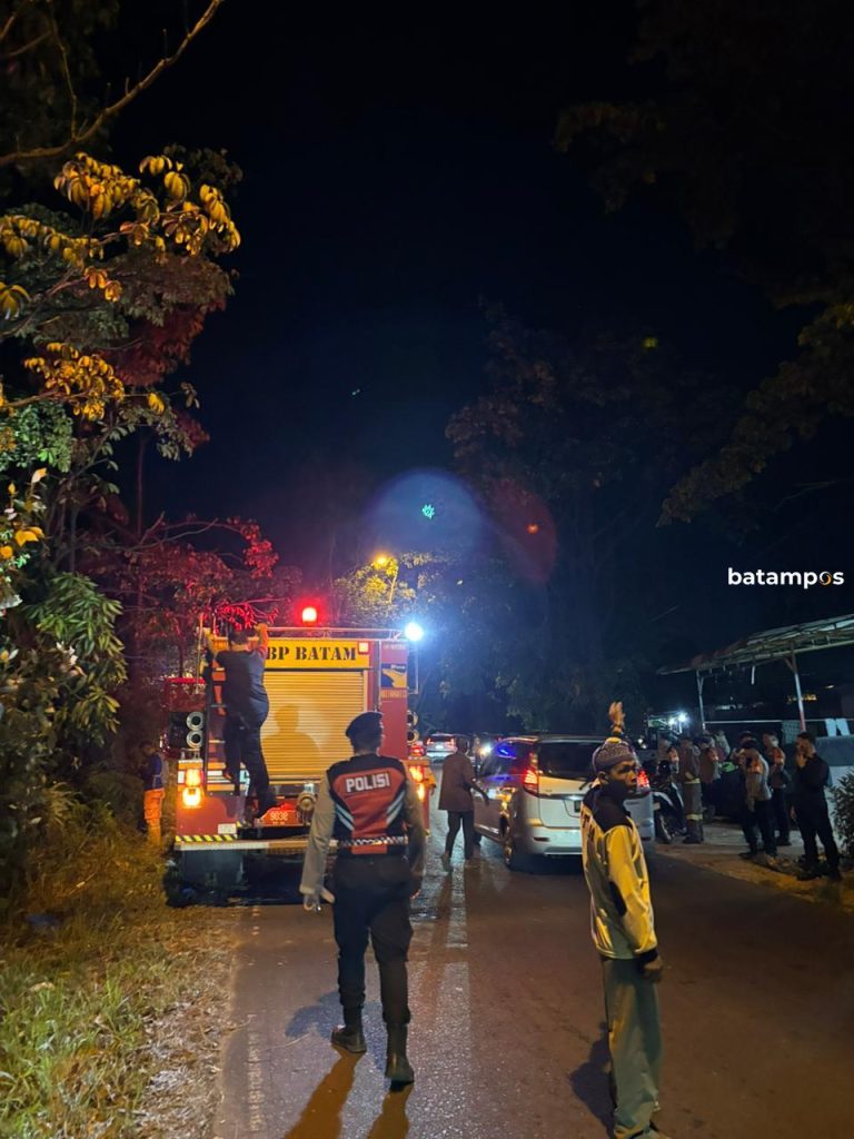 Warga Sempat Panik, Kebakaran Hutan di Tanjung Riau Sempat Mengarah ke Pemukiman