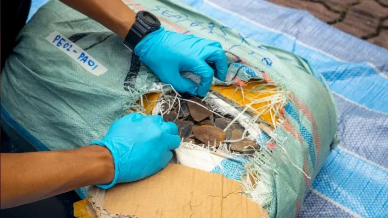 Singapura Gagalkan Penyelundupan Sisik Trenggiling Terbesar