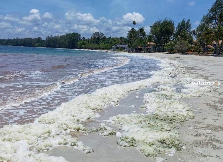 Zat Hijau Berbuih Penuhi Pantai Lagoi Bintan, Asal-usul Masih Misterius