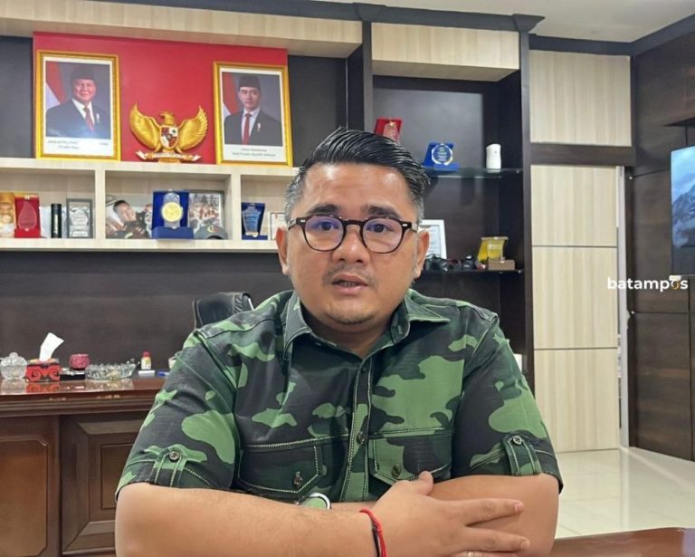 BP Tanjungpinang Sebut 4 Investor Siap Garap Kawasan FTZ Dompak dan Senggarang