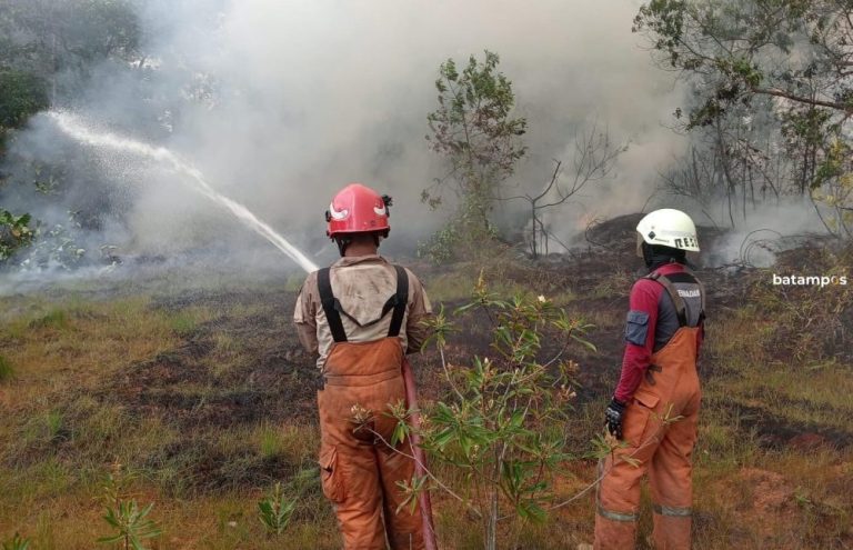 Kebakaran Lahan Melonjak di Tanjungpinang, 133 Kasus dalam 3 Bulan