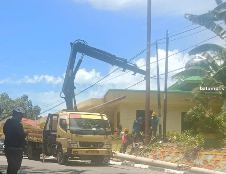 Pohon Tumbang di Karimun Patahkan Tiang Listrik dan Listrik Padam Lebih dari 3 Jam