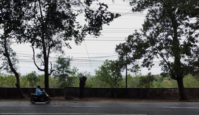 Peralihan Musim di Kepri, BMKG: Siap-siap Hujan Disertai Angin Kencang