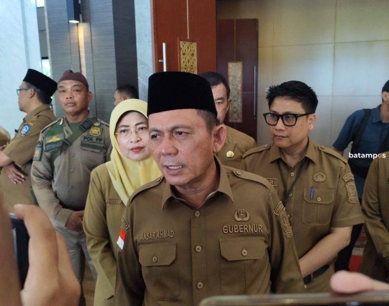Proyek Strategis Jembatan Babin Terkendala Kepastian, Skema Swasta Jadi Opsi