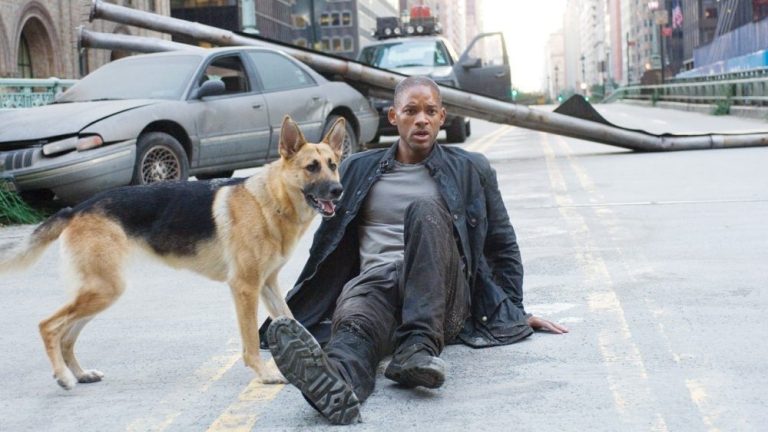 I Am Legend 2 Masuk Tahap Produksi, Steven Caple Jr Jadi Sutradara
