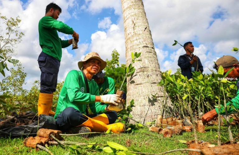 Hari Bumi 2026, Pelabuhan BBT Lagoi Tanam 1.000 Bibit Bakau
