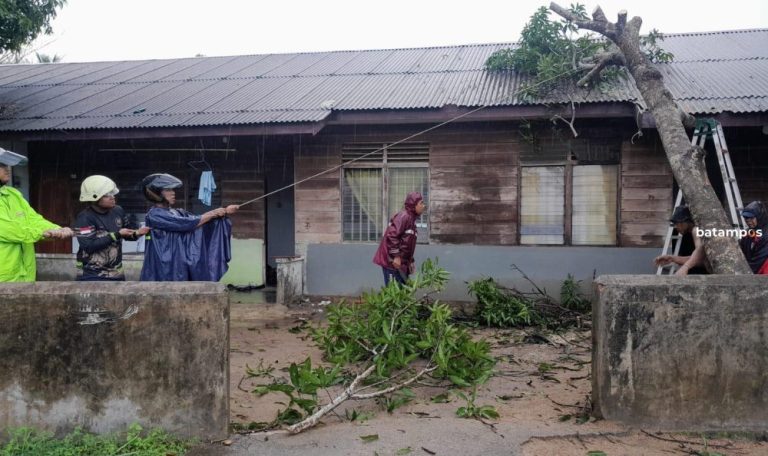 Hujan Lebat Picu Pohon Tumbang di Bintan Utara, Atap Rumah Jebol