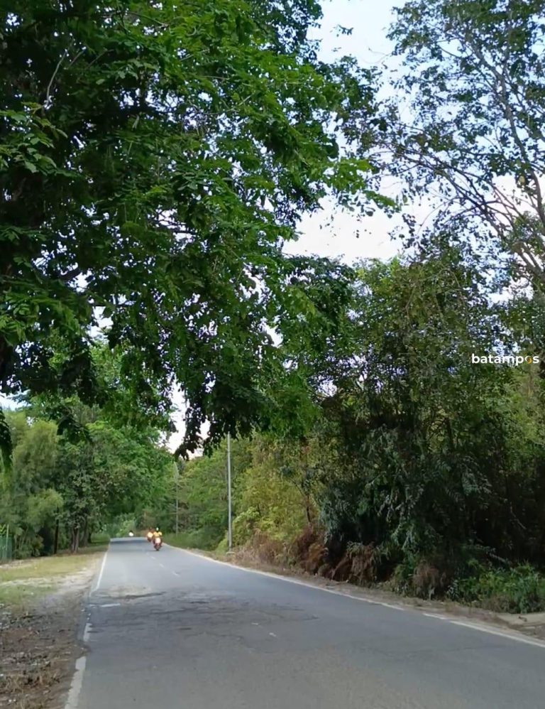 Pengendara Diteror Lemparan Batu di Jalan Sei Temiang–Marina
