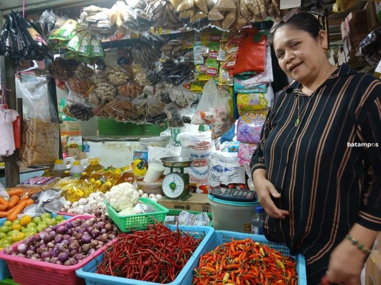 Distribusi Terganggu, Sayur dan Bahan Pokok di Anambas Mulai Langka Imbas Larangan Ferry