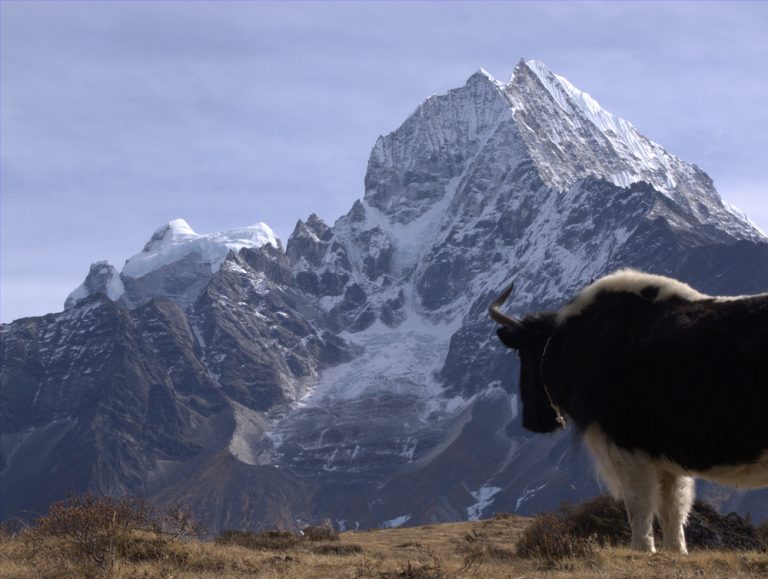 Fakta Mengerikan, Ratusan Jenazah Pendaki Gunung Everest Tak Bisa Dievakuasi