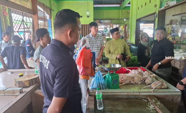 Stok Ayam Bintan Capai 458 Ribu Ekor, Harga Pangan Stabil