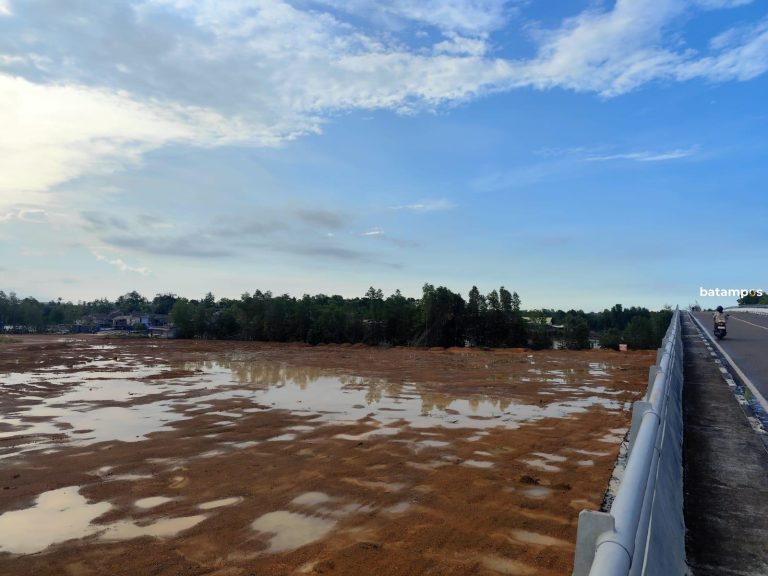 DPRD Bungkam Usai Sidak Lahan Mangrove Dompak, Polisi Belum Lakukan Penyelidikan