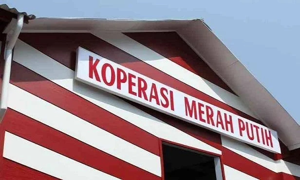 Anggaran Pembangunan Gedung Koperasi Merah Putih Diduga ‘Disunat’, Potensi Kerugian Capai Rp 64 Triliun