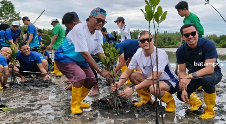 Peserta Mandiri Bintan Marathon Tanam Ratusan Mangrove di Pesisir Lagoi