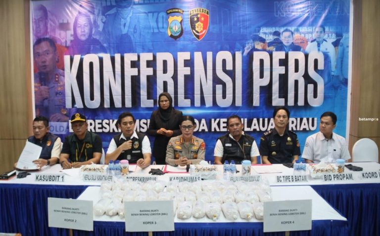 Polisi Telusuri Asal dan Jalur Pengiriman 100 Ribu Ekor Lobster yang Hendak Diselundupkan