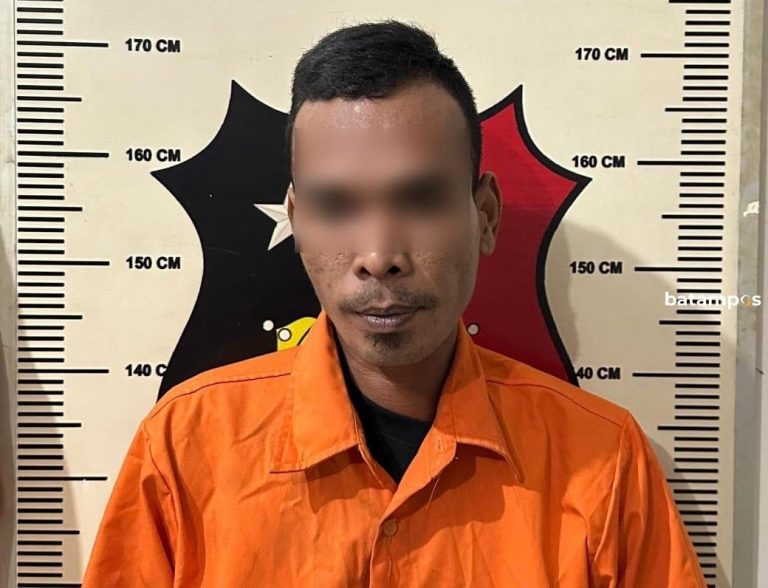 Pamer Alat Kelamin, Pria di Bengkong Diciduk Polisi