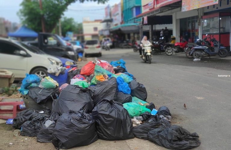Sampah Menumpuk di Botania 1, Warga Keluhkan Bau Busuk dan Serbuan Lalat
