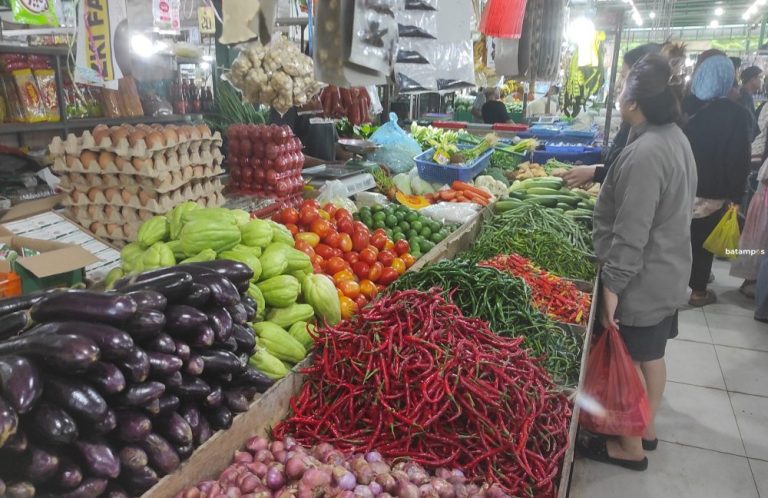 Harga Tomat di Batam Melonjak, Tembus Rp40 Ribu per Kilogram