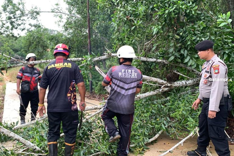 Angin Kencang Tumbangkan Pohon Akasia di Tanjunguban, Akses Warga Terganggu